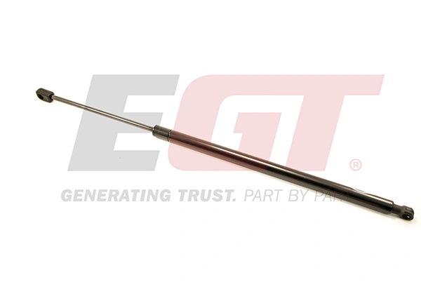 Gas Spring, boot/cargo area 510069EGT