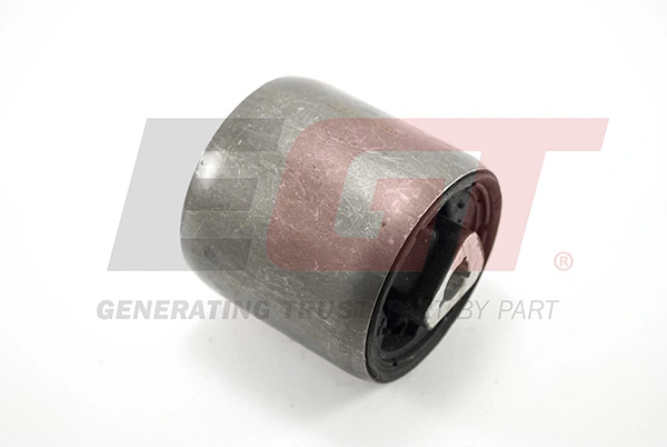 Mounting, control/trailing arm 261313EGT