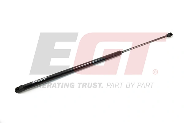 Gas Spring, boot/cargo area 510142EGT