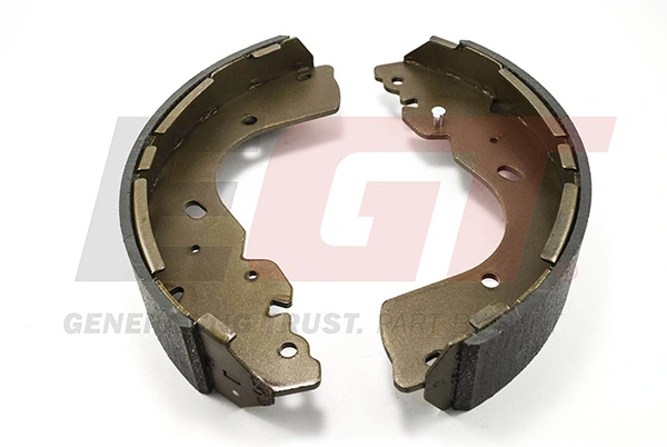 Brake Shoe Set 421619EGT