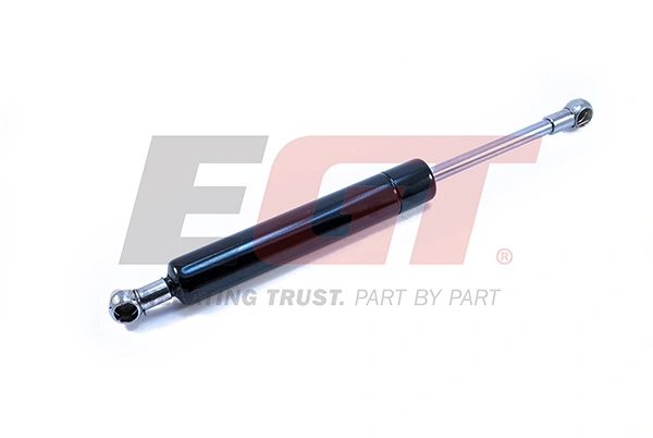 Gas Spring, boot/cargo area 510085EGT