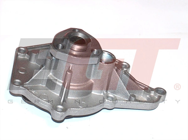 Water Pump, engine cooling 701391EGT