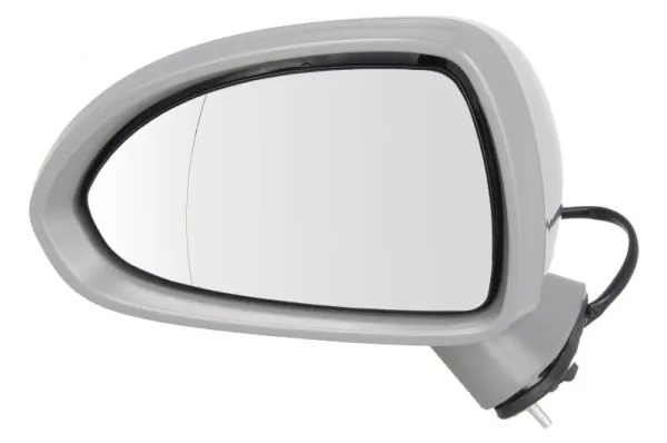 Exterior Mirror 5402-04-2001989P