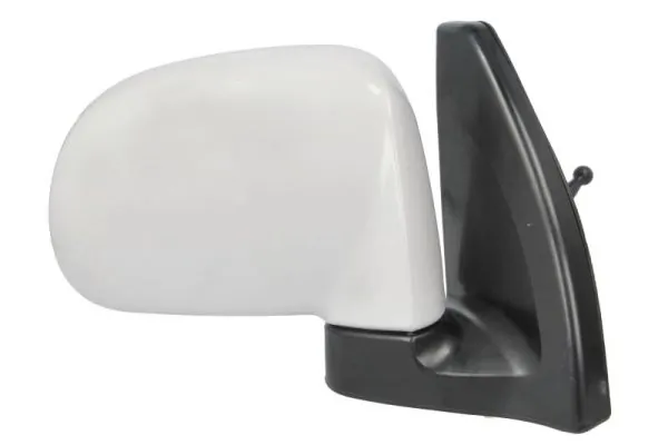 BLIC 5402-20-2002840P Exterior Mirror