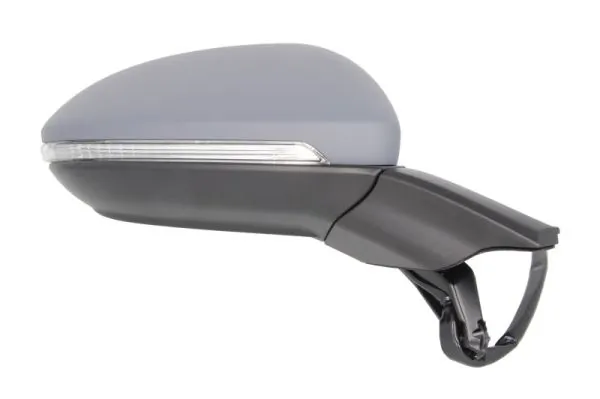 Exterior Mirror 5402-01-2002648P