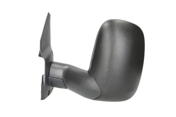 BLIC 5402-03-2001317P Exterior Mirror