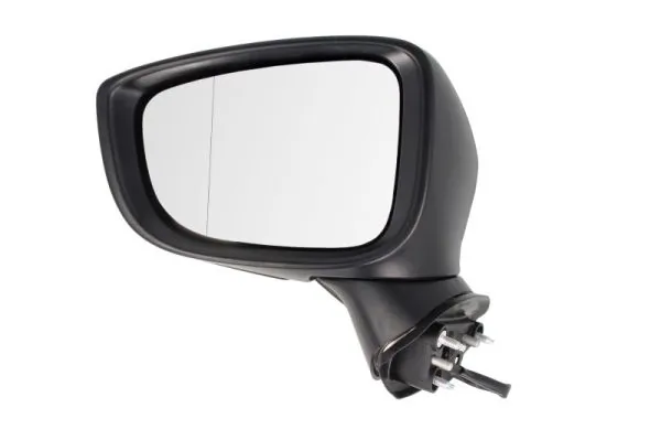 BLIC 5402-14-2001701P Exterior Mirror