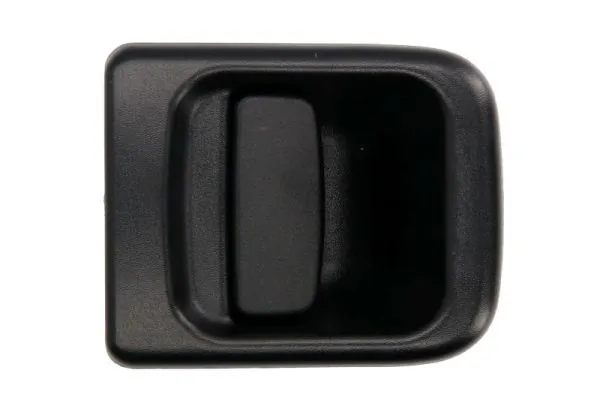 Exterior Door Handle 6010-09-032402PP