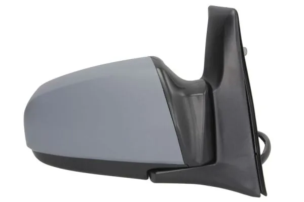 BLIC 5402-04-1139223P Exterior Mirror