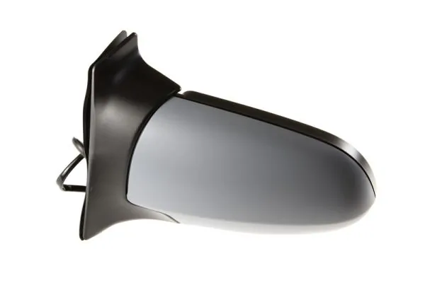 Exterior Mirror 5402-04-1125232P
