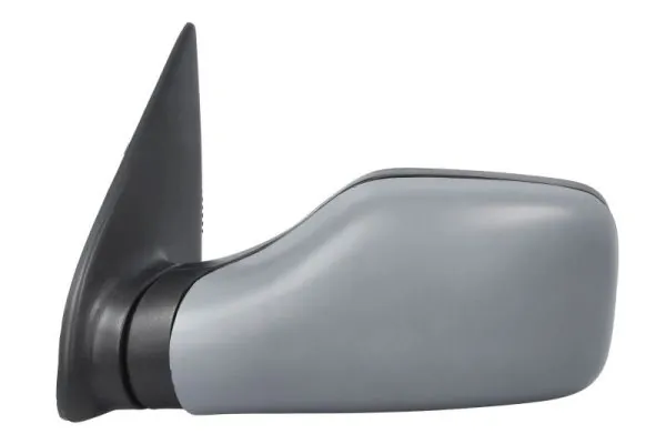 BLIC 5402-08-2002901P Exterior Mirror