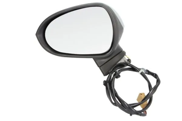 Exterior Mirror 5402-10-2002279P