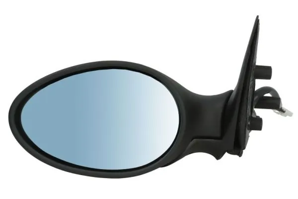 Exterior Mirror 5402-04-1125273P