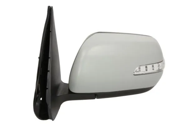 BLIC 5402-18-2002413P Exterior Mirror