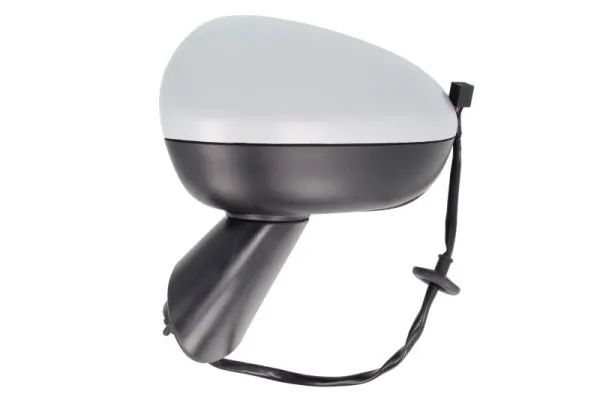 Exterior Mirror 5402-04-2002003P