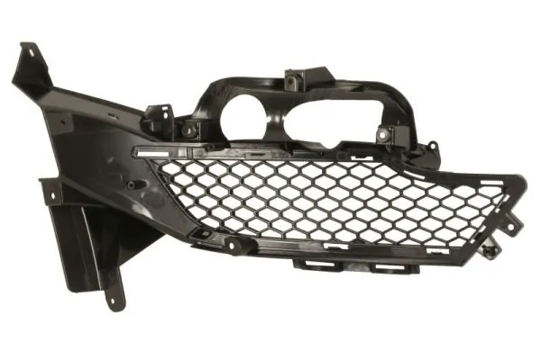 BLIC 6502-07-2586917P Ventilation Grille, bumper