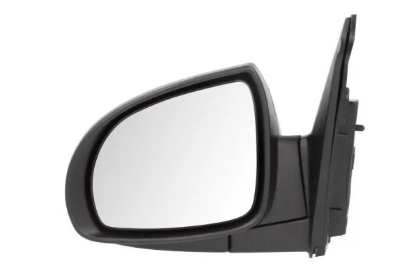 BLIC 5402-53-2001521P Exterior Mirror