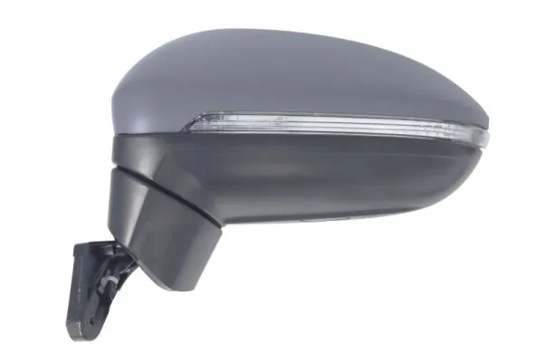 Exterior Mirror 5402-01-1617310P