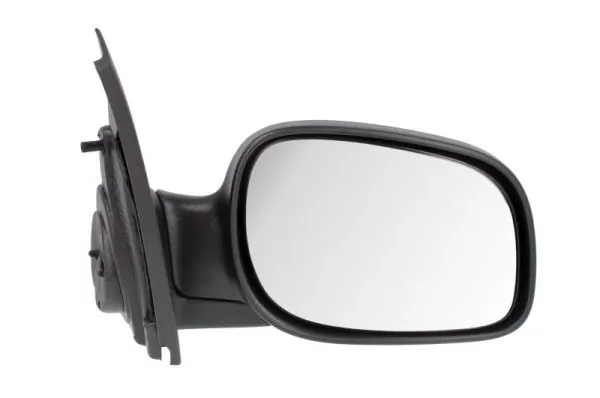 BLIC 5402-57-2001638P Exterior Mirror