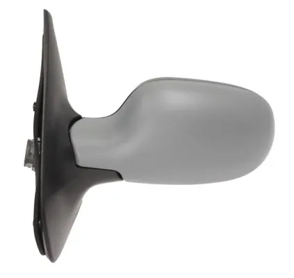Exterior Mirror 5402-04-1139173P