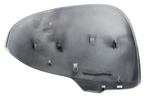 BLIC 6103-19-2002495P Housing, exterior mirror