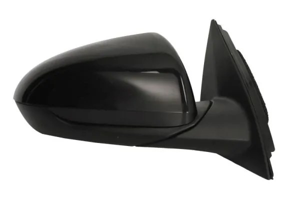 BLIC 5402-20-1966311P Exterior Mirror