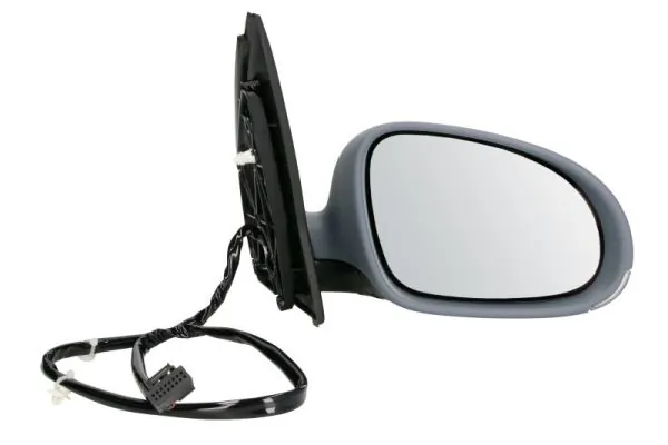 Exterior Mirror 5402-04-1139128P