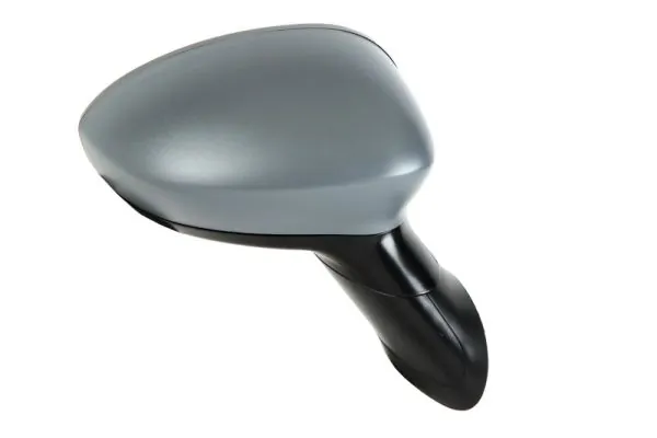 Exterior Mirror 5402-04-1132527P