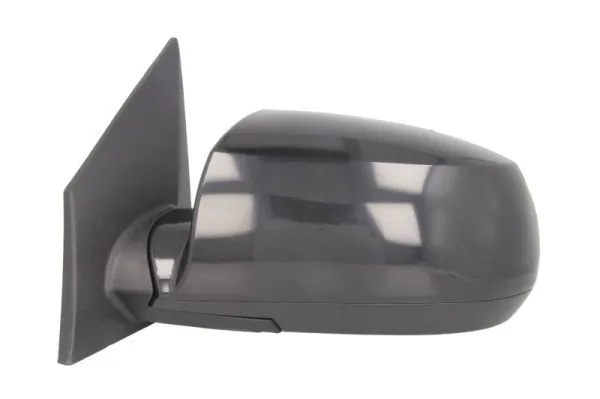 BLIC 5402-53-2001547P Exterior Mirror