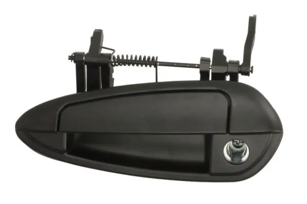 Exterior Door Handle 6010-07-036401PP