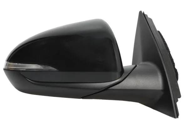 BLIC 5402-20-1966319P Exterior Mirror