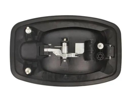 Exterior Door Handle 6010-07-038402P