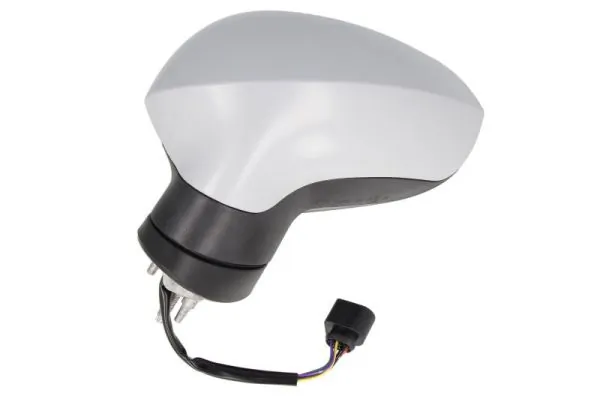 Exterior Mirror 5402-10-2002297P