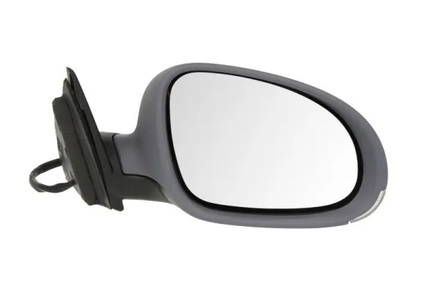 Exterior Mirror 5402-04-1129570P