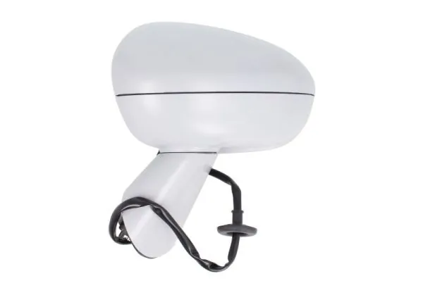 Exterior Mirror 5402-04-2002001P