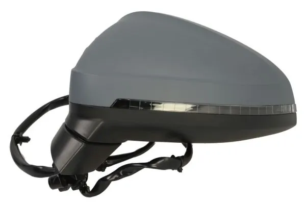 Exterior Mirror 5402-25-0054312P