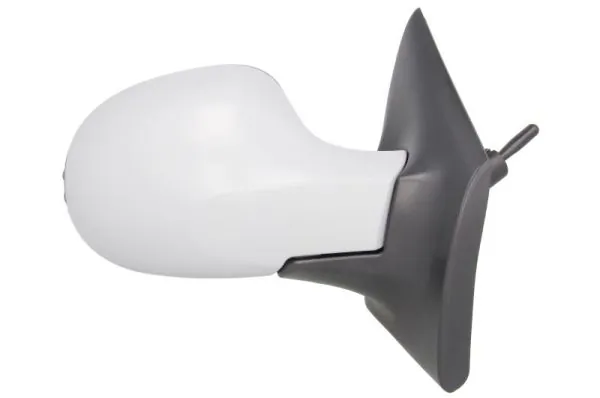 BLIC 5402-09-2002222P Exterior Mirror