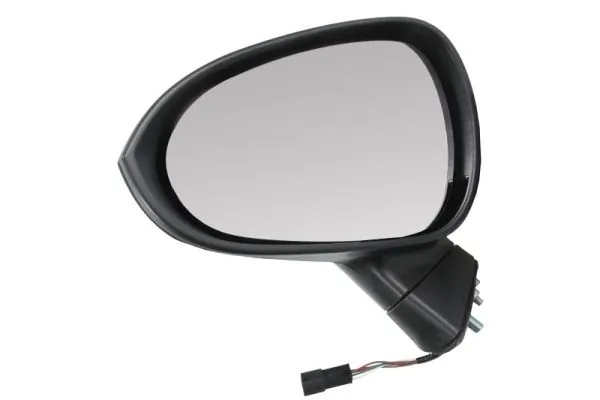 Exterior Mirror 5402-10-2002285P