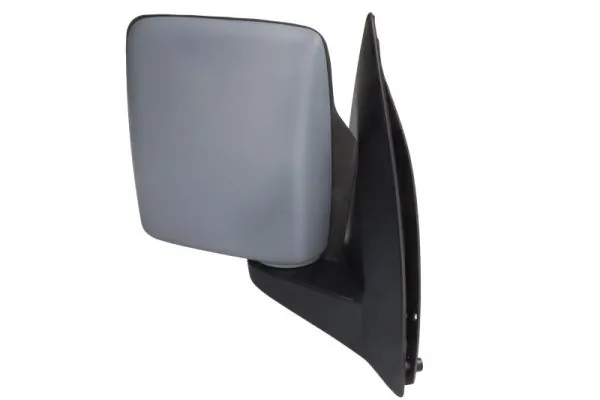 Exterior Mirror 5402-04-9221221P