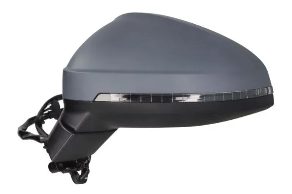 Exterior Mirror 5402-25-0054312P