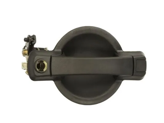 Exterior Door Handle 6010-07-029417P