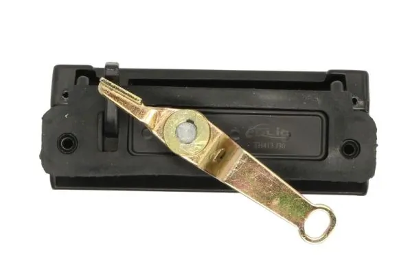 BLIC 6010-03-024417P Exterior Door Handle