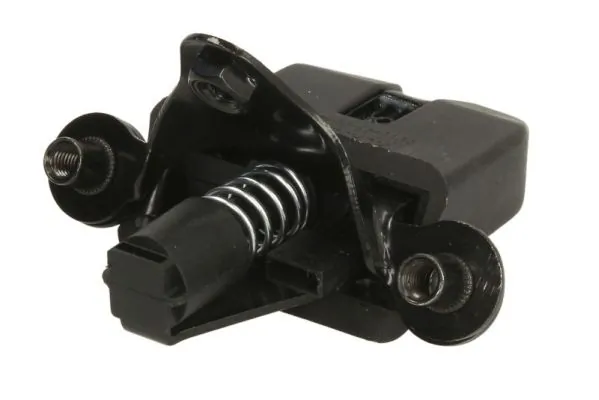 BLIC 6010-43-006449P Tailgate Lock