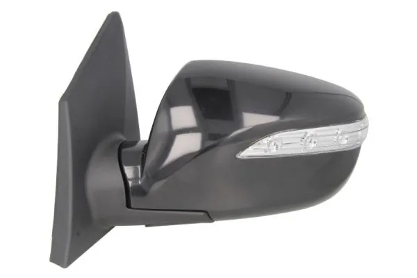 BLIC 5402-20-2001421P Exterior Mirror