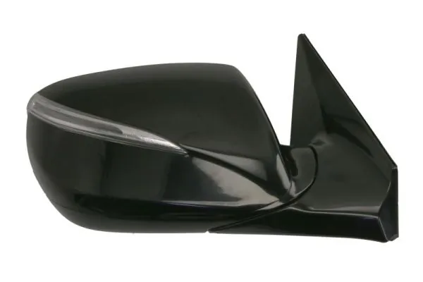 BLIC 5402-20-0556311P Exterior Mirror