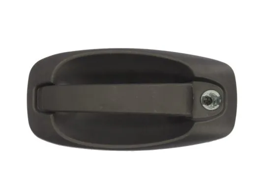 Exterior Door Handle 6010-07-043401P