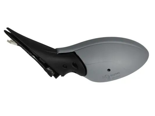 Exterior Mirror 5402-04-1139273P
