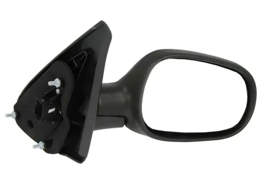 Exterior Mirror 5402-04-1121223P