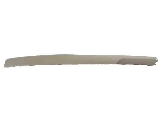 BLIC 6502-07-5024923P Spoiler