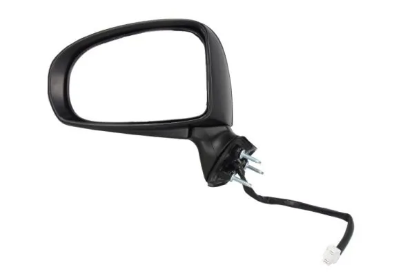 Exterior Mirror 5402-19-2002449P